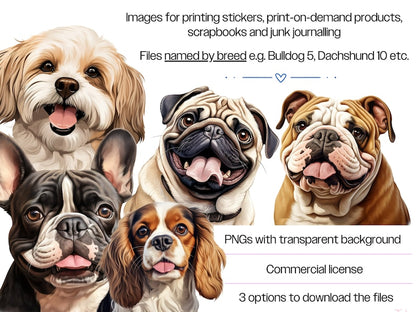 dog portrait bundle, watercolor dog portraits, dog PNG files, sublimation dog designs, dog breed illustrations, high-resolution dog images, T-shirt dog designs, PNG dog portraits, dog clipart bundle, watercolor dog breeds, sublimation dog PNG, dog lover gifts, custom dog T-shirts, dog breed clipart, transparent dog PNG files, commercial use dog PNG, dog breed art, watercolor dog designs, dog prints for gifts, dog mug designs, high-quality dog art, scrapbooking dog images, card-making dog designs, personaliz