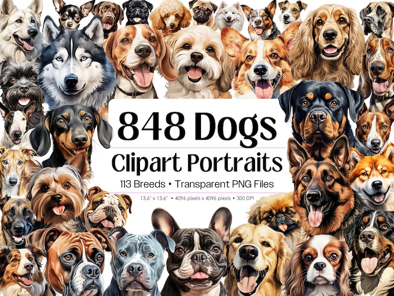 dog portrait bundle, watercolor dog portraits, dog PNG files, sublimation dog designs, dog breed illustrations, high-resolution dog images, T-shirt dog designs, PNG dog portraits, dog clipart bundle, watercolor dog breeds, sublimation dog PNG, dog lover gifts, custom dog T-shirts, dog breed clipart, transparent dog PNG files, commercial use dog PNG, dog breed art, watercolor dog designs, dog prints for gifts, dog mug designs, high-quality dog art, scrapbooking dog images, card-making dog designs, personaliz