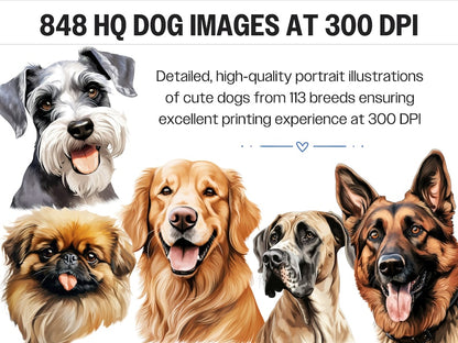 dog portrait bundle, watercolor dog portraits, dog PNG files, sublimation dog designs, dog breed illustrations, high-resolution dog images, T-shirt dog designs, PNG dog portraits, dog clipart bundle, watercolor dog breeds, sublimation dog PNG, dog lover gifts, custom dog T-shirts, dog breed clipart, transparent dog PNG files, commercial use dog PNG, dog breed art, watercolor dog designs, dog prints for gifts, dog mug designs, high-quality dog art, scrapbooking dog images, card-making dog designs, personaliz